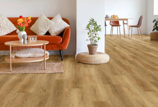 Onze Ultimate Collectie